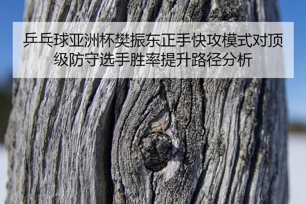 乒乓球亚洲杯樊振东正手快攻模式对顶级防守选手胜率提升路径分析